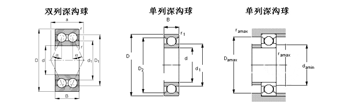 高温日皮视频在线观看